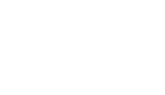 Skyhigh Agency Logo